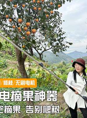 果树高枝HAM弯头剪高摘空长采延粗枝剪园林修剪摘果粗枝两用修枝