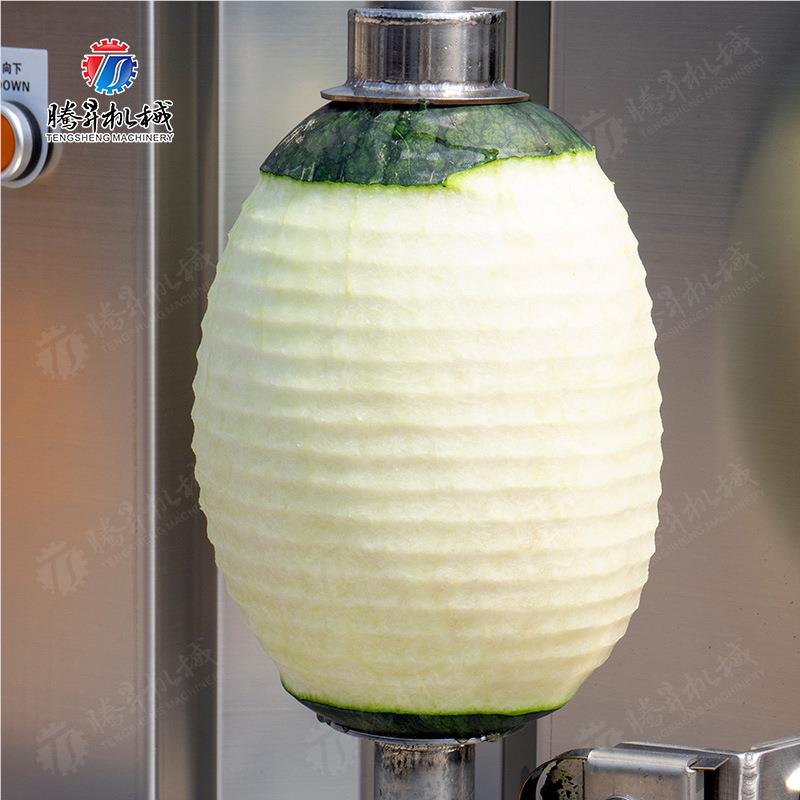 削皮机机978 冬菠萝蜜木瓜南果瓜瓜削皮机 各类瓜去皮 出品