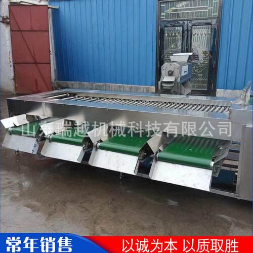 不锈钢材质果蔬筛选机商用柠檬分级筛选机工业地瓜滚杠式筛选机