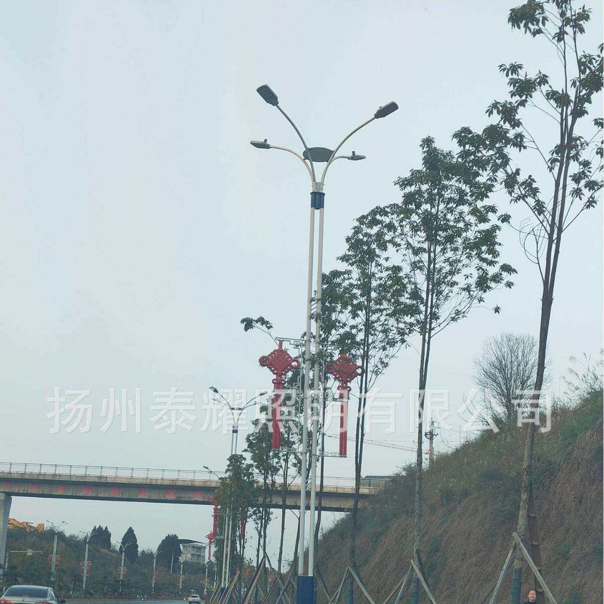 湖北浙江上海异形景观4头多头中华灯户外防水4000K高亮路灯户外