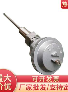 电阻工业用装配式热电阻PT100管道密封螺纹铠装PT100热电偶电热阻