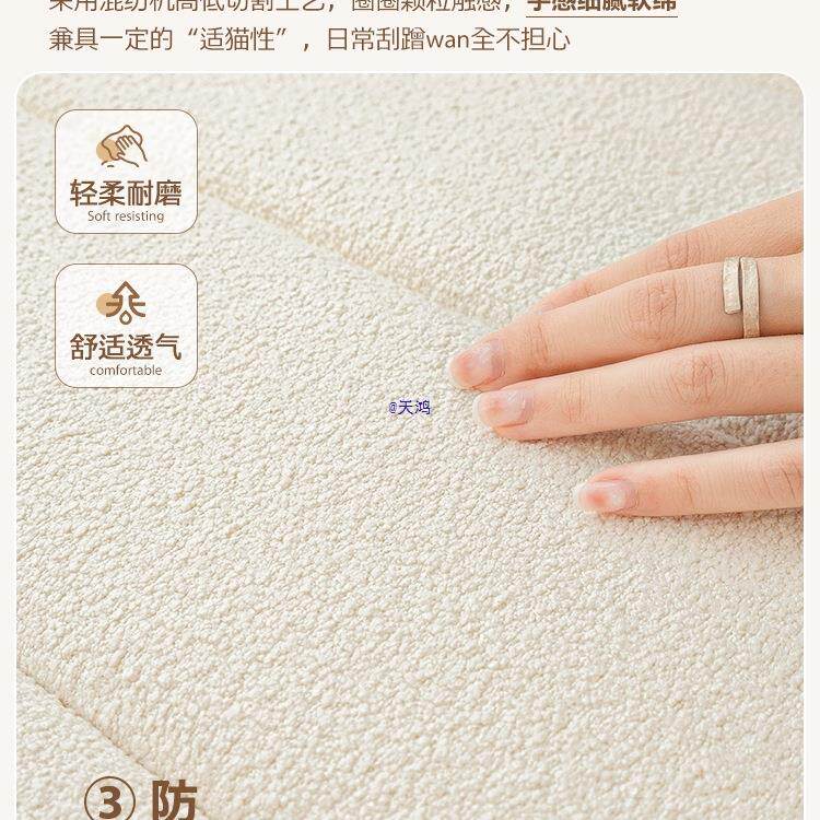 泰迪绒飘窗垫窗台垫2025新款四季轻奢感可拆洗阳台坐垫子