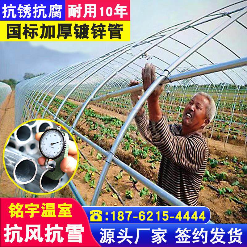 温室大棚钢管骨架全套配件蔬菜种植农用连栋养殖鸡椭圆管拱杆支架