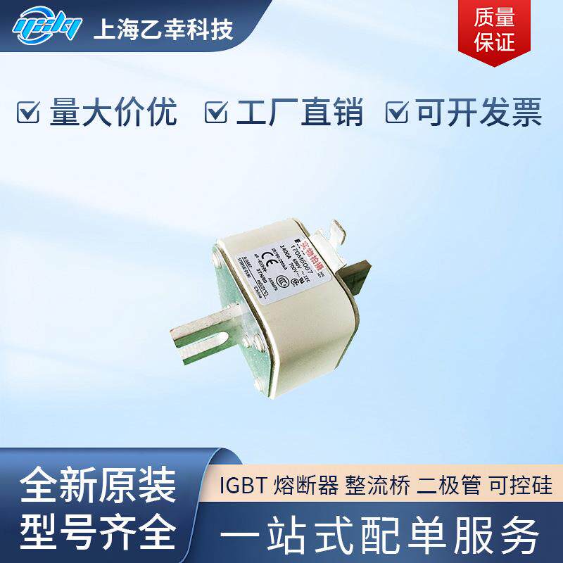 巴斯曼熔断器 170M6010 170M6011 170M6012 170M6013 170M6014 - 实物图