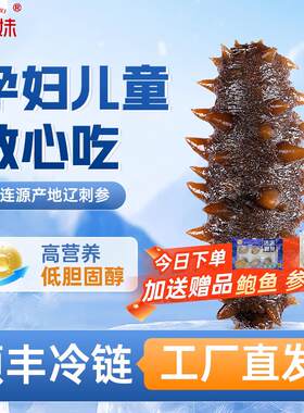 参小妹 大连即食海参底播野生辽刺参 单个独立包装 冷冻生鲜