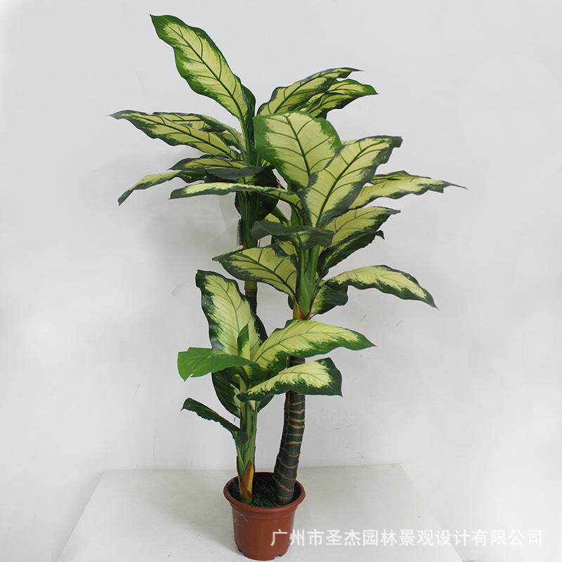 仿真白心万年青 大型落地仿真植物盆栽1.2m假植物 仿真万年青绿植