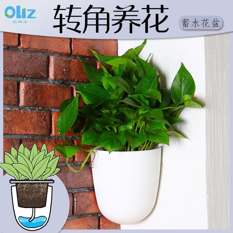 挂壁水培壁挂花盆懒人绿萝墙壁塑料挂式墙上直角转角悬挂式挂花盆