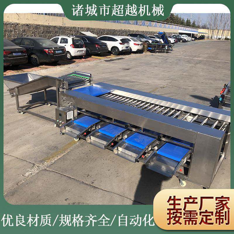 厂家果蔬分选机柠檬分选机梨子分选机水果重量分选机新品推荐