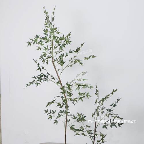 仿真南天竹 仿真新中式绿植盆景小树 家居酒店拍摄室内外造景绿植
