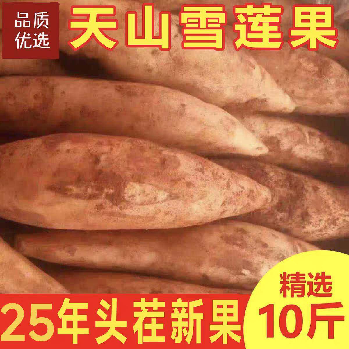 正宗现挖云南天山雪莲果新鲜低糖孕妇水果黄心清甜当季整箱价