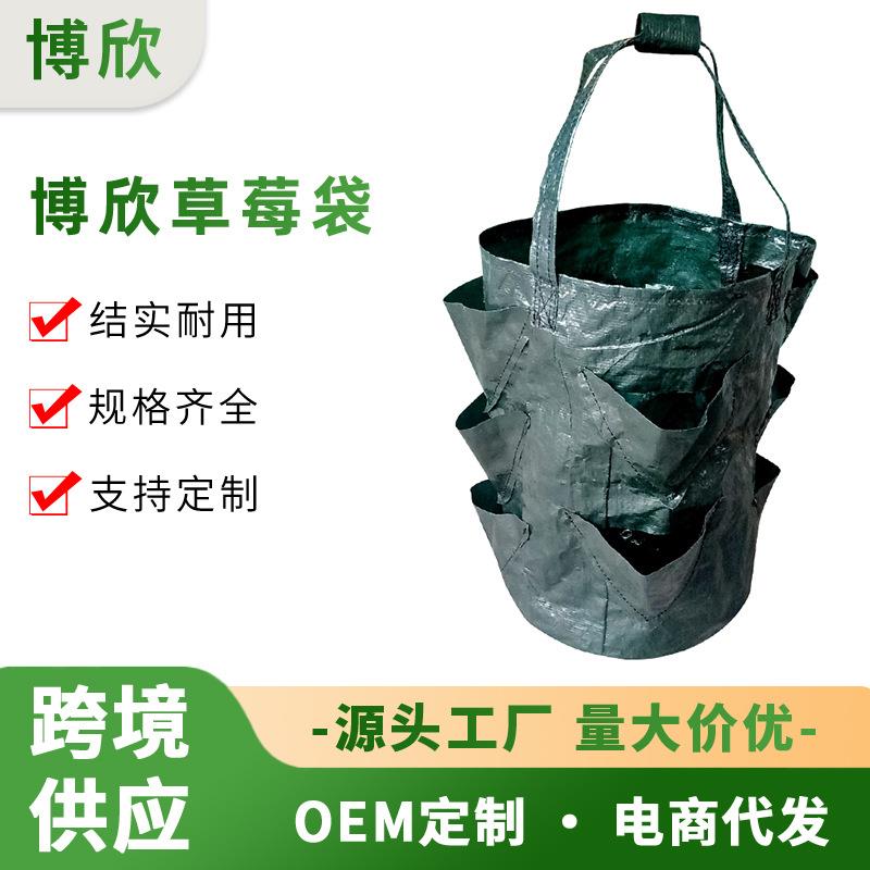 3加仑PE吊挂式草莓袋 悬挂式花卉植物吊篮生长花卉空中园艺种植袋