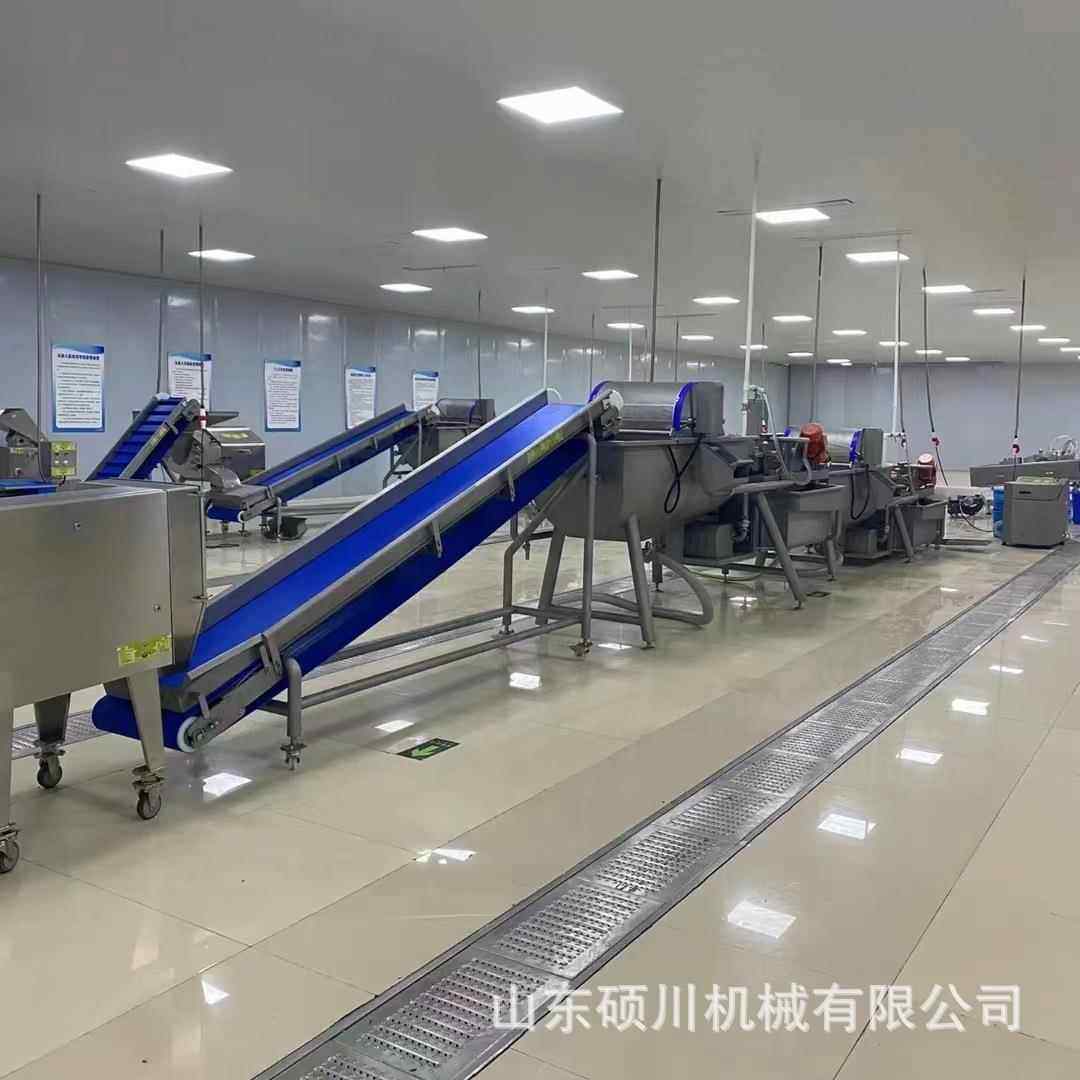 速冻蔬菜臭氧杀菌清洗机中央厨房净菜清洗生产线半成品菜加工设备,五金/工具,其他机械五金,淘宝优惠券,粉丝福利购,淘宝优惠卷