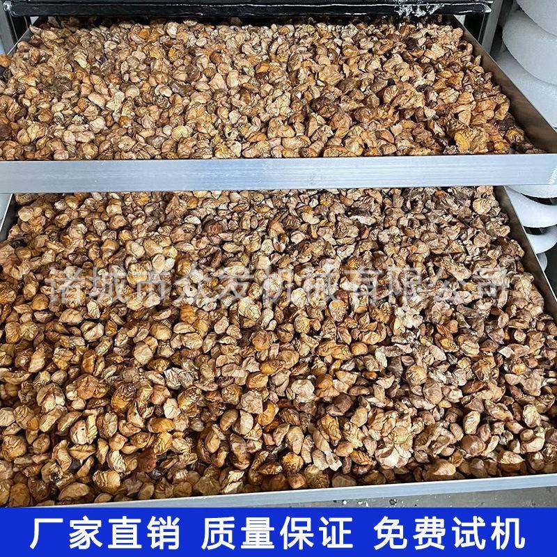 供应昆虫真空冷冻干燥设备土鳖虫冻干机宠物食品低温冻干设备