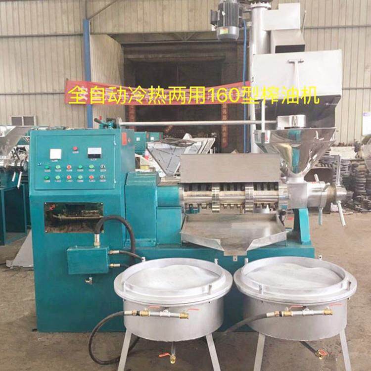 嵩赢生产全自动冷热两用榨油机玉米螺旋榨油机芝麻香油机