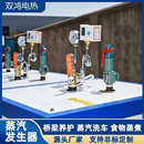 蒸煮酿酒电加热蒸汽机锅炉 桥梁养护 蒸汽发生器300KG 工程混凝土