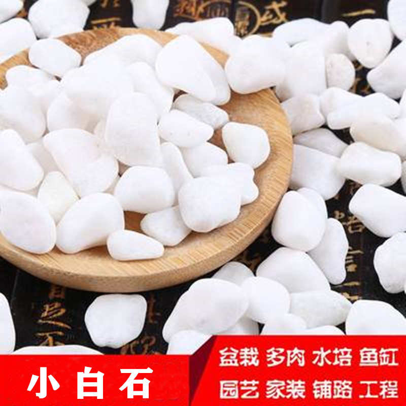 盆栽石子鹅卵石肉铺白石庭院面发白批园艺多白石头造景园林石头