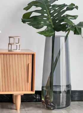 龟背竹花瓶玻璃透明水培器皿高款超高大号超大特大号落地高身高筒