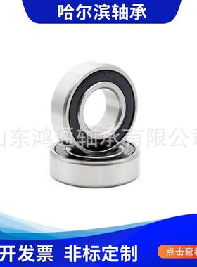 哈尔滨鸿通轴承6415 6416 6417 6418 6420ZZ/2RS 深沟球轴承