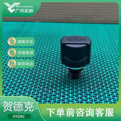 进口HYDAC贺德克BF P 3 G 3 W 4.0 /-RV过滤器原装现货