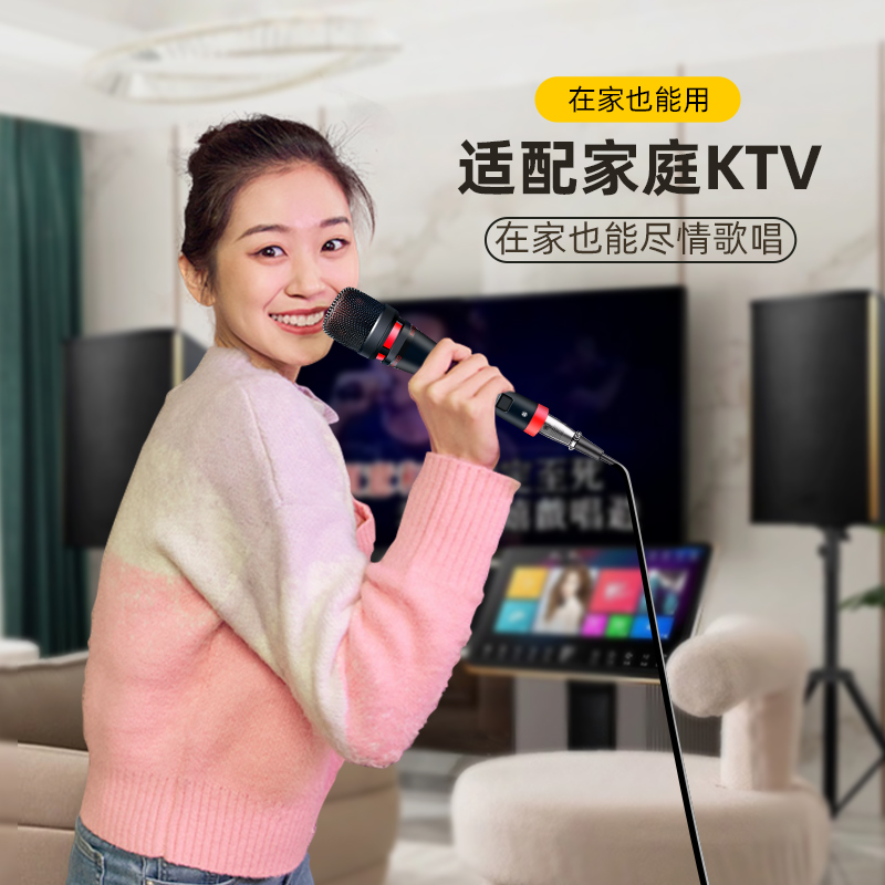 动圈麦克风家用ktv手持话筒户外k歌直播设备防啸叫旅游大巴车讲话