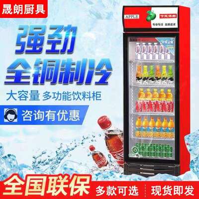 啤酒柜饮料柜商用冷藏展示柜立式饮料展示柜保鲜柜超市双门饮品柜