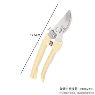 剪枝果树修枝剪刀园艺园林修花枝剪家用强力剪子神器花剪剪枝剪刀