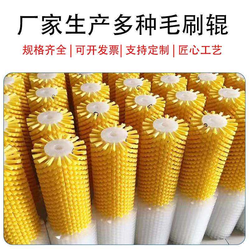 尼龙丝毛刷辊除尘扫灰清洗辊刷耐磨机械配件输送带毛刷辊可定 制