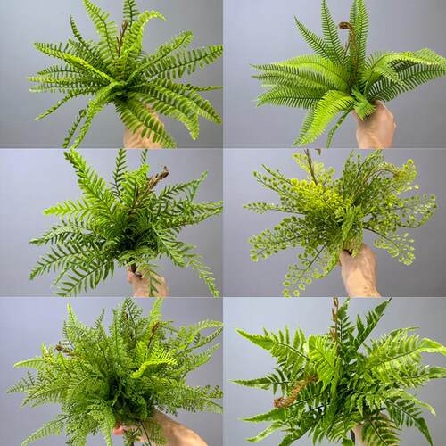 仿真蕨叶波斯草仿真蕨类植物蕨草手感软胶植物墙造景配材鱼尾蕨叶