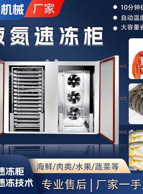果蔬食品海鲜液氮速冻机生产饺子液氮速冻柜水饺小型急冻设备