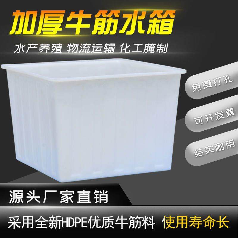 加厚牛筋水箱塑料长方形卖鱼养鱼水产养殖家用储水桶大容量塑料桶