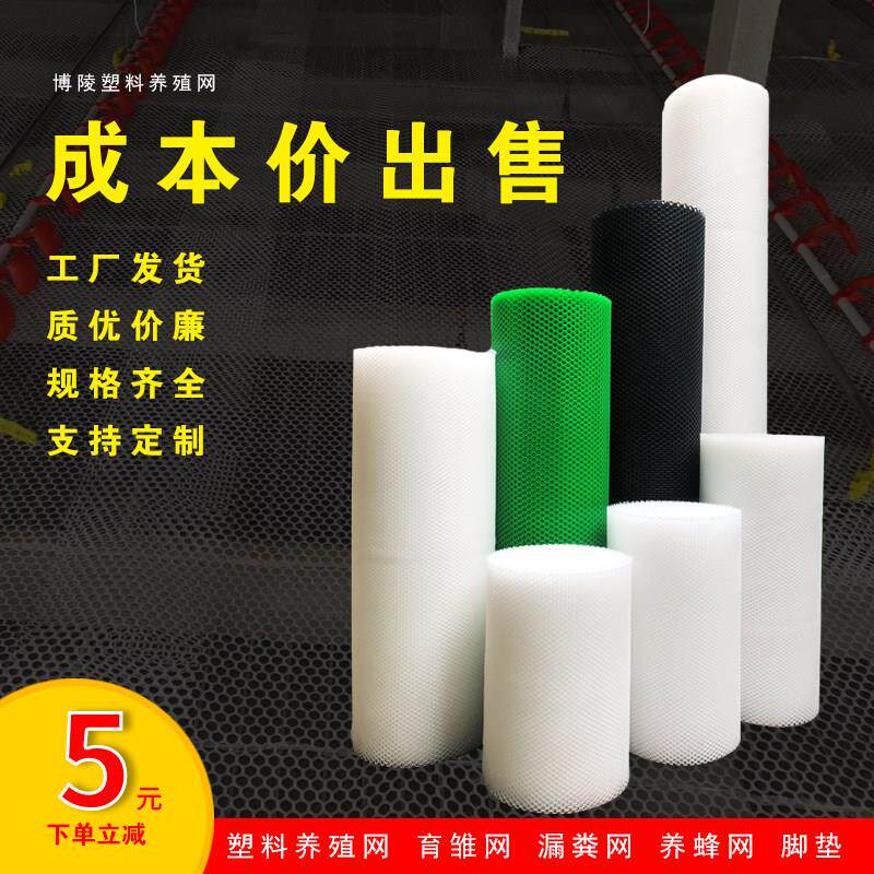 网平塑栏ODM胶网养殖网漏粪网养鸡用网床养鹅护防围网格胶网垫网