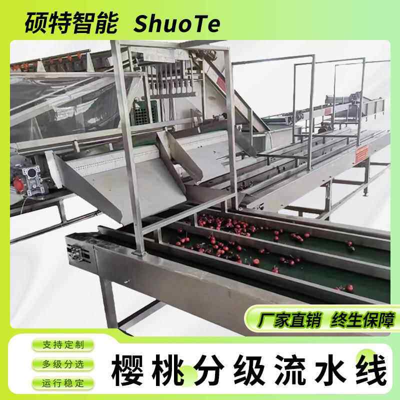 樱桃预冷清洗机 车厘子清洗风干大小分拣流水线 樱珠分级选果机