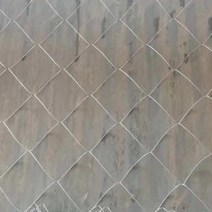 钢丝网建筑防护围栏狗笼鸡鸭养殖防盗网厂家 镀锌低碳钢丝轧花网