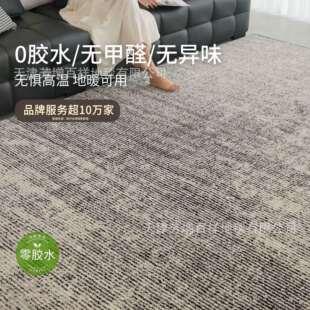 无胶防水客厅地毯高级感黑白灰现代极简意式轻奢沙发卧室免洗防污