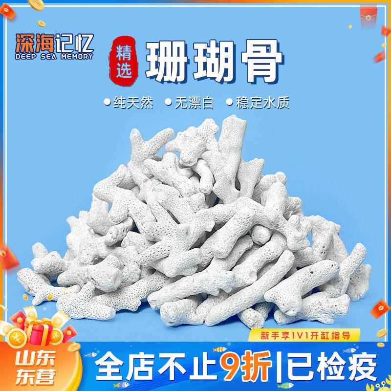 【深海记忆】天然大块珊瑚骨海缸滤材净水鱼缸装饰造景稳定PH值图片