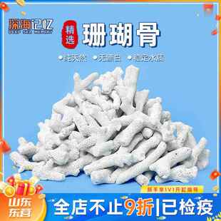 【深海记忆】天然大块珊瑚骨海缸滤材净水鱼缸装饰造景稳定PH值