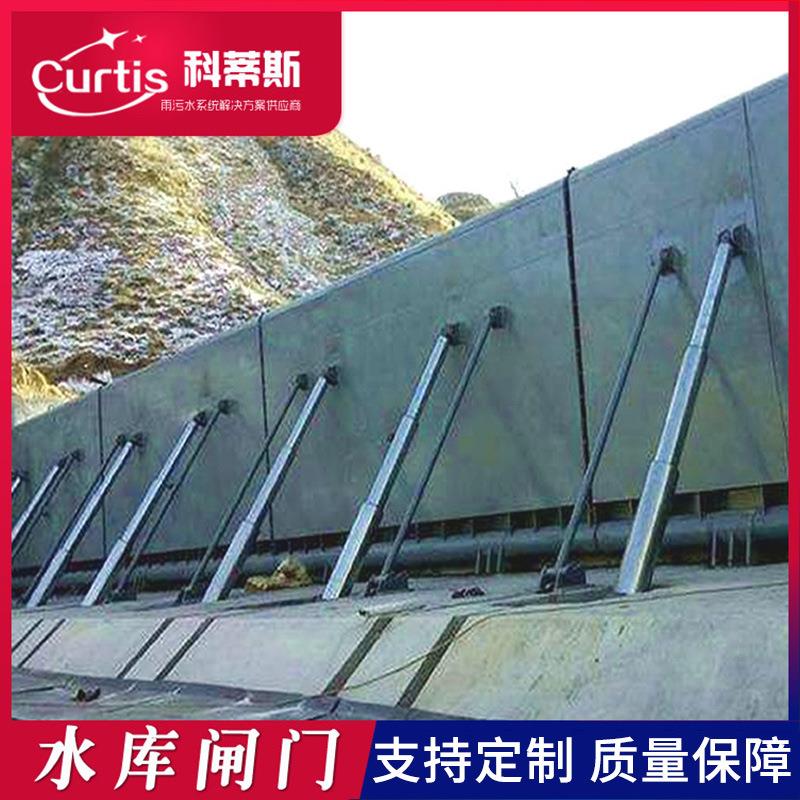 钢坝闸门大跨度水景液压钢坝闸门水库翻板闸门大型钢坝