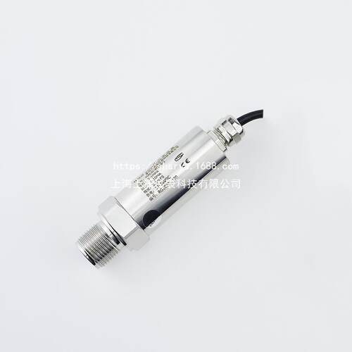 PS6000-CR-BZ-A1-B-1.0/CD1直接引线压力变送器传感器
