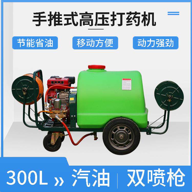 00升汽油高压喷雾机畜牧业消毒杀虫清洗机园林绿化手推式喷洒机