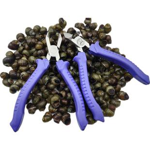 正品剪田螺去尾钳田螺神剪螺丝钳田去螺去尾刀的工具夹夹田螺器尾