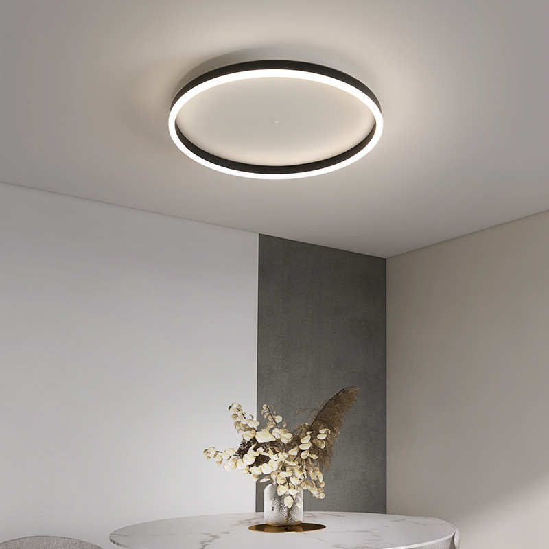 2022新款极简圆形吸顶灯北欧现代简约客厅书房灯餐厅房间主卧室灯