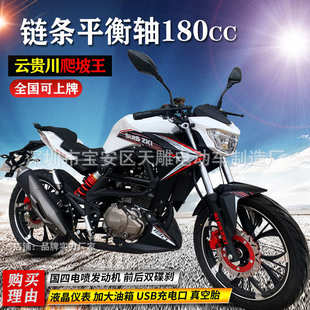 全新轻骑集团摩托车街跑车燃油复古链条平衡轴180c国四电喷可上牌