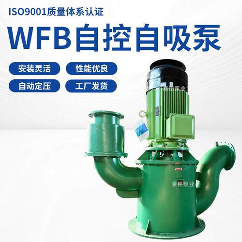WFB无密封自控自吸泵大吸程污水排放泵耐腐蚀工业立式自吸泵