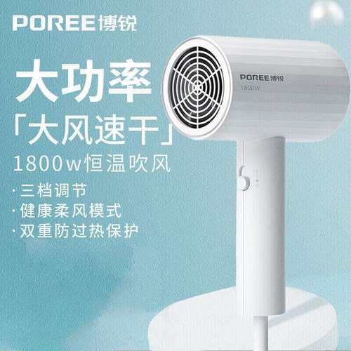 博锐电吹风机大功率吹头发学生宿舍家用1800W PH16271PH628