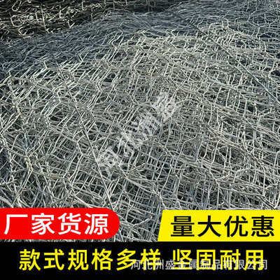 镀锌防洪石笼网箱生态格宾铅丝防洪六角网PVC包塑固滨笼雷诺护垫