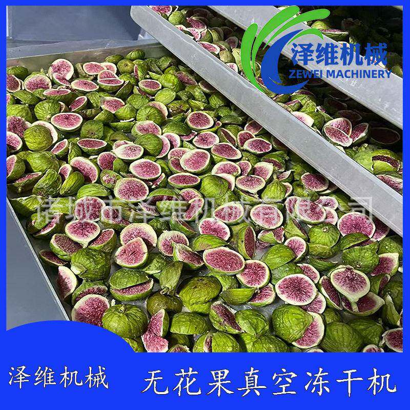 无花果真空冻干机猕猴桃黄桃冻干设备海鲜海参低温真空干燥机