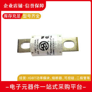 250A 350A 275A 325A 全新快速熔断器 300A FWH