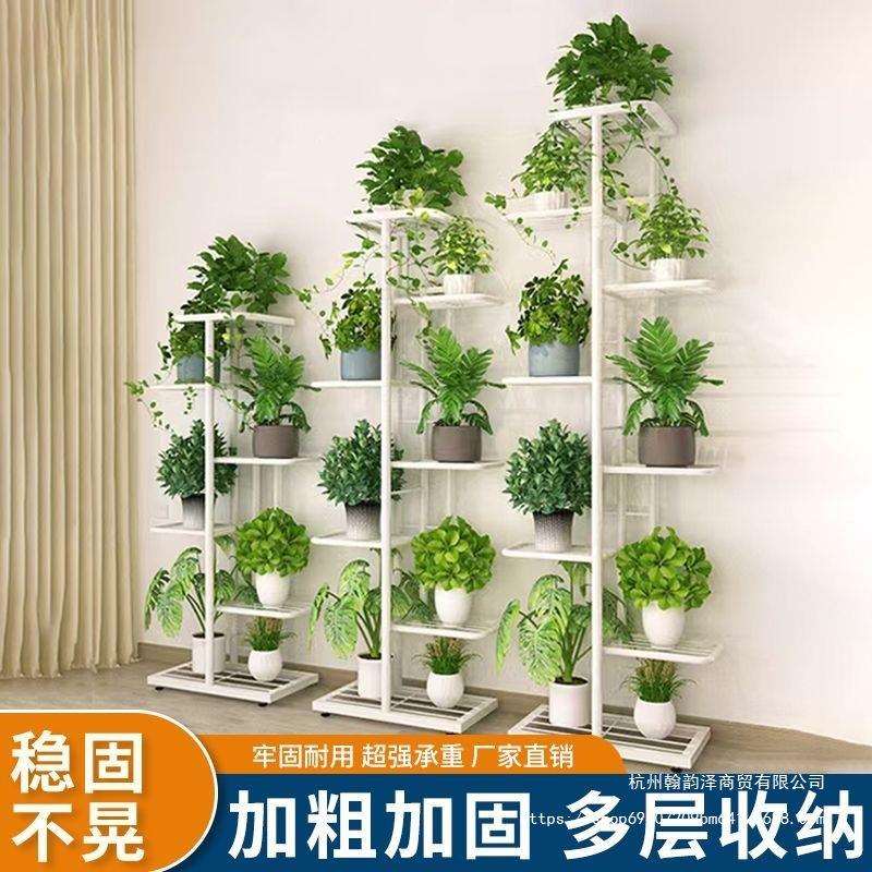 花架子新款高级轻奢室内家用阳台置物架多层铁艺绿萝植物花盆金属