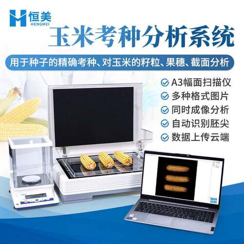 玉米考种分析系统玉米整穗截面分析水稻小麦考种测定千粒重检测仪