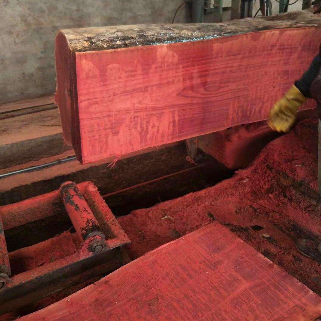 常年大量巴新米仔兰原木 AGL米仔兰家具材 供应